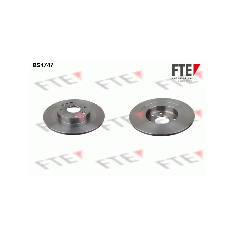 Jeu de 2 disques de frein arrière FTE BS4747