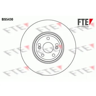 Jeu de 2 disques de frein avant FTE BS5430