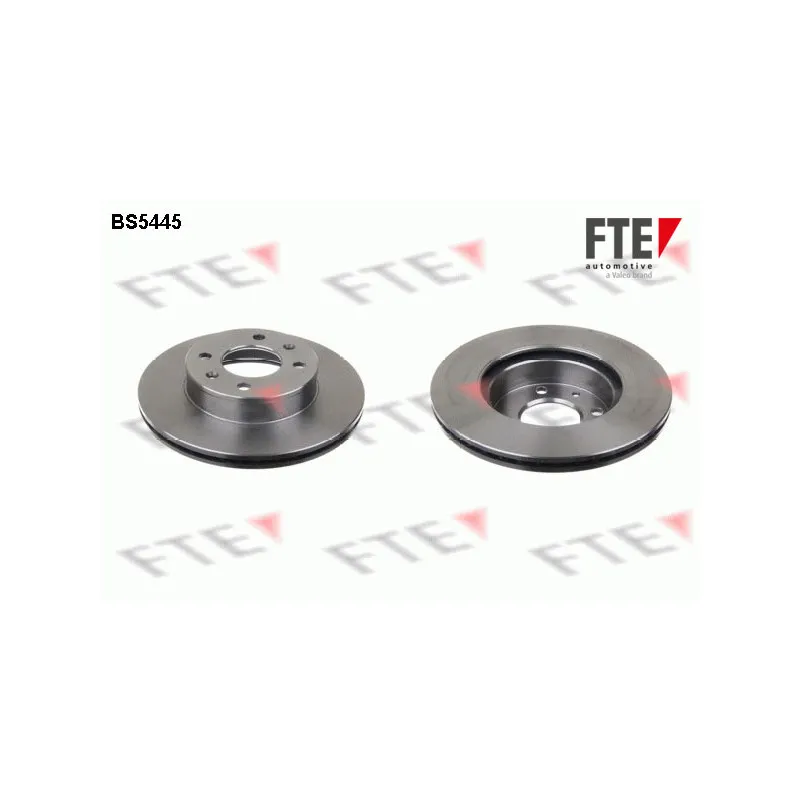 Jeu de 2 disques de frein avant FTE BS5445