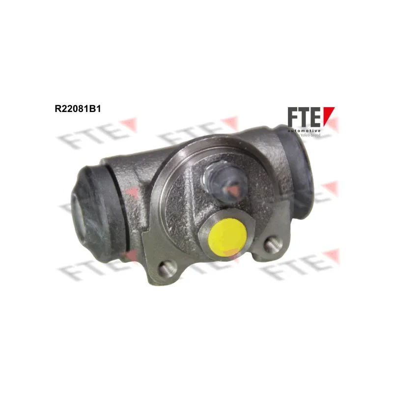 Cylindre de roue FTE R22081B1