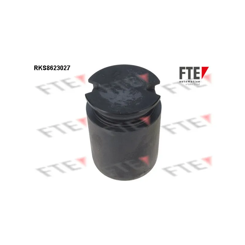 Piston, étrier de frein FTE RKS8623027