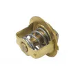 Thermostat d'eau WAHLER 3033.78D - Visuel 2