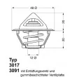 Thermostat d'eau WAHLER 3091.92D - Visuel 1