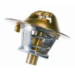 Thermostat d'eau WAHLER 3118.82D1 - Visuel 2