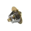 Thermostat d'eau WAHLER 3119.82 - Visuel 3