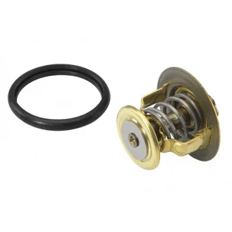 Thermostat d'eau WAHLER 410131.88D