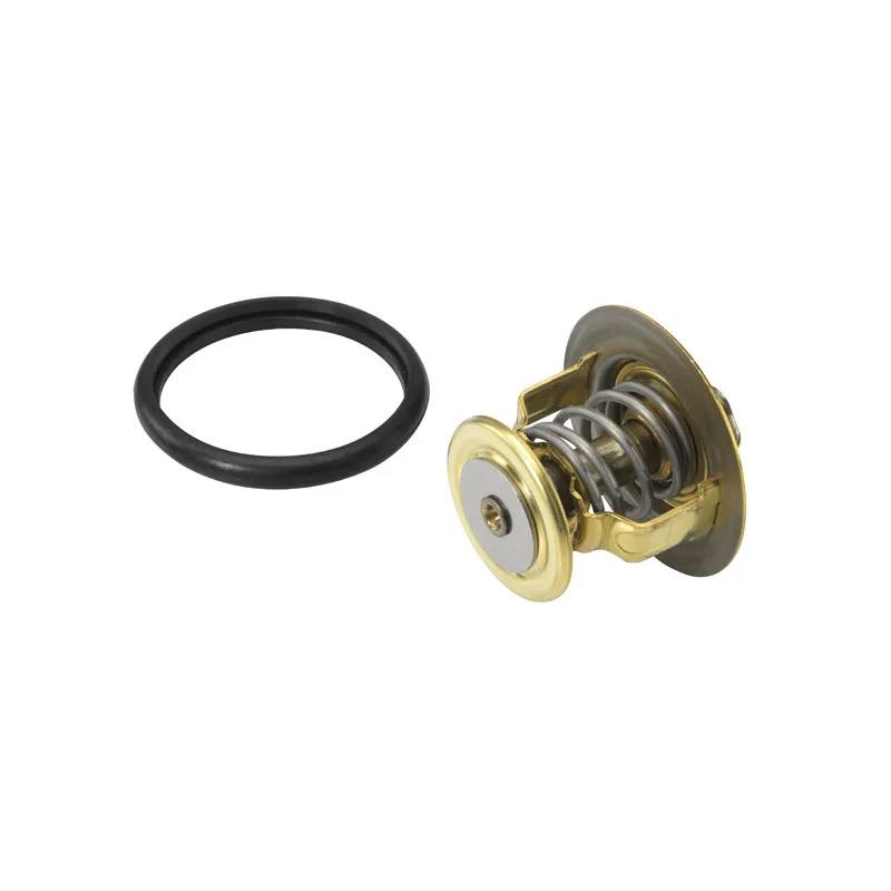 Thermostat d'eau WAHLER 410131.88D