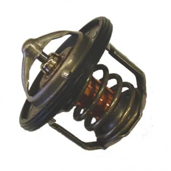 Thermostat d'eau WAHLER