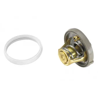 Thermostat d'eau WAHLER 410262.91D