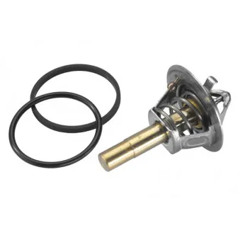 Thermostat d'eau WAHLER 410779.88D