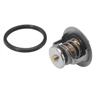 Thermostat d'eau WAHLER 411545.82D