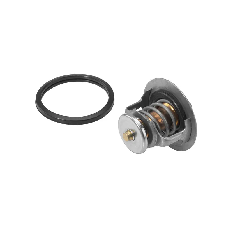 Thermostat d'eau WAHLER 411545.82D