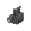 Thermostat d'eau WAHLER 411576.87D - Visuel 2