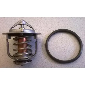 Thermostat d'eau WAHLER 411955.88D