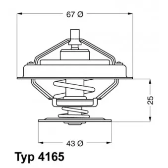 Thermostat d'eau WAHLER 4165.79D