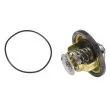 Thermostat d'eau WAHLER 4174.79D - Visuel 2