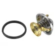 Thermostat d'eau WAHLER 4176.80D - Visuel 3