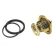 Thermostat d'eau WAHLER 4256.83D60 - Visuel 2