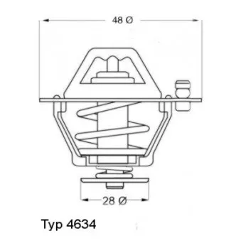 Thermostat d'eau WAHLER 4634.76