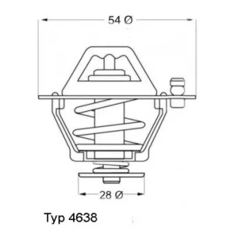 Thermostat d'eau WAHLER 4638.76D