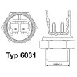 Interrupteur de température, ventilateur de radiateur WAHLER 6031.105D - Visuel 1