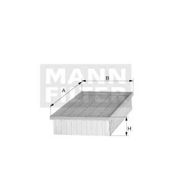 Filtre à air MANN-FILTER C 2860/3