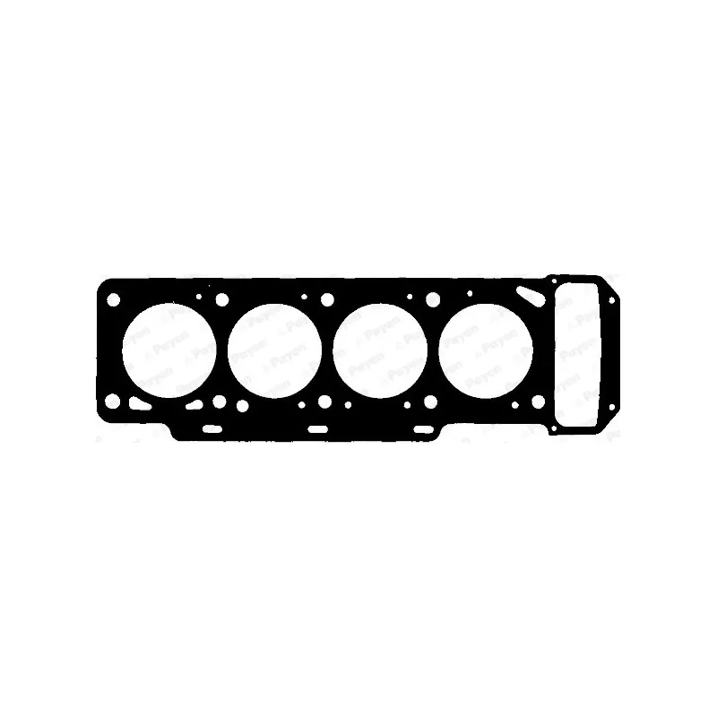 Joint d'étanchéité, culasse PAYEN BC921