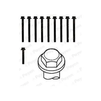 Jeu de boulons de culasse de cylindre PAYEN HBS297