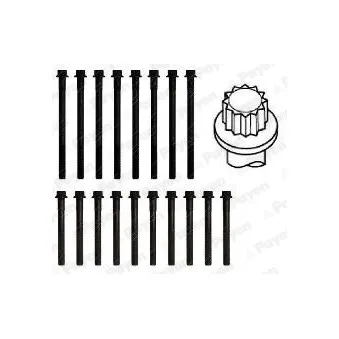 Jeu de boulons de culasse de cylindre PAYEN HBS314