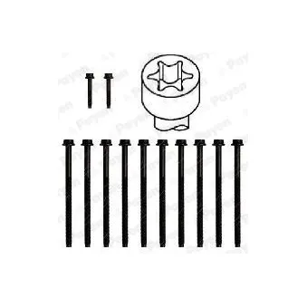 Jeu de boulons de culasse de cylindre PAYEN HBS358