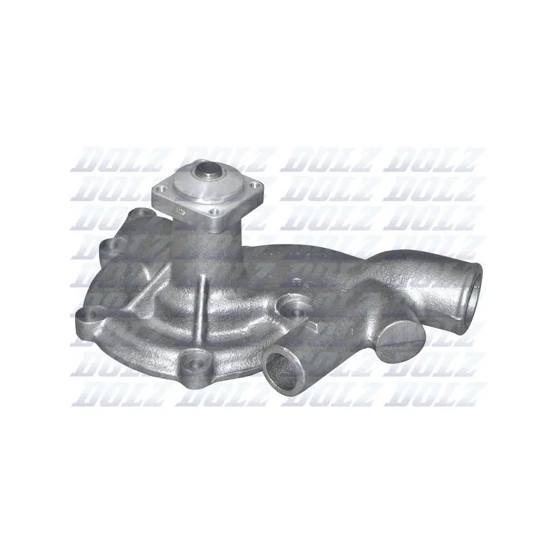 Pompe à eau DOLZ L111