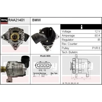 Alternateur REMY RAA21401