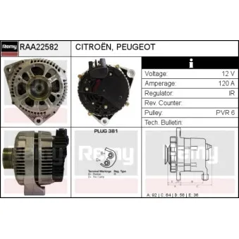 Alternateur REMY RAA22582