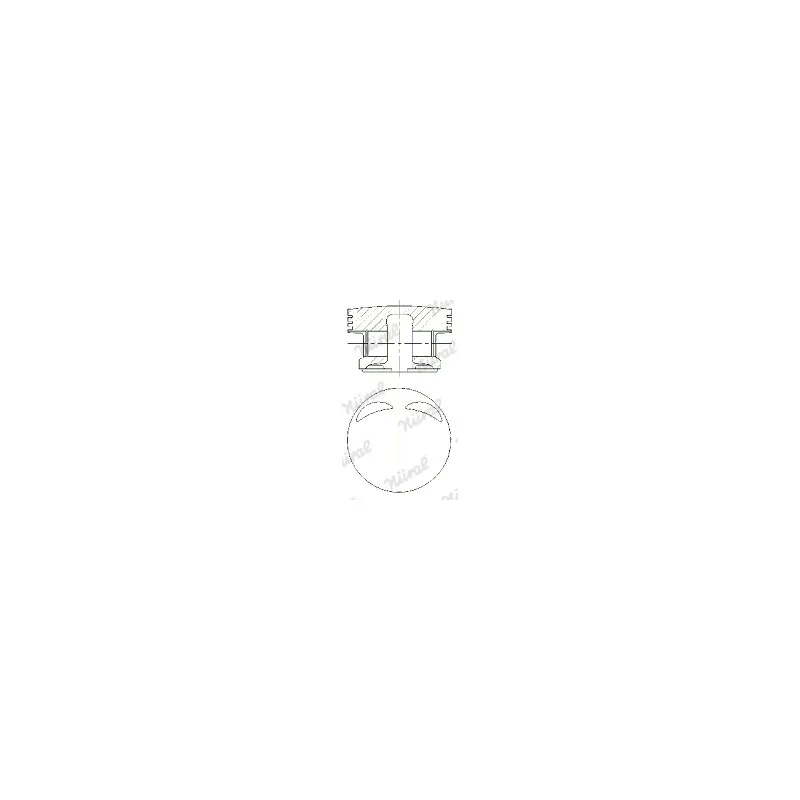 Piston NÜRAL 87-109100-00