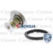 Thermostat d'eau ACKOJA A26-99-0008 - Visuel 1