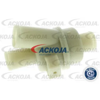 Thermostat d'eau ACKOJA A26-99-0011