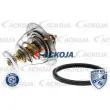 Thermostat d'eau ACKOJA A37-99-0004 - Visuel 1