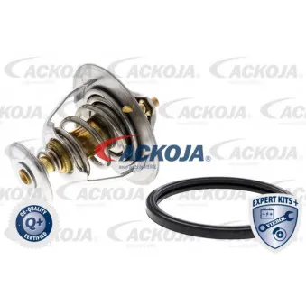 Thermostat d'eau ACKOJA A37-99-0004