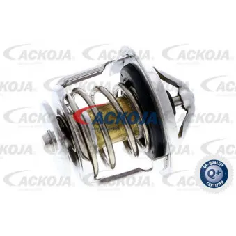 Thermostat d'eau ACKOJA A52-99-0002