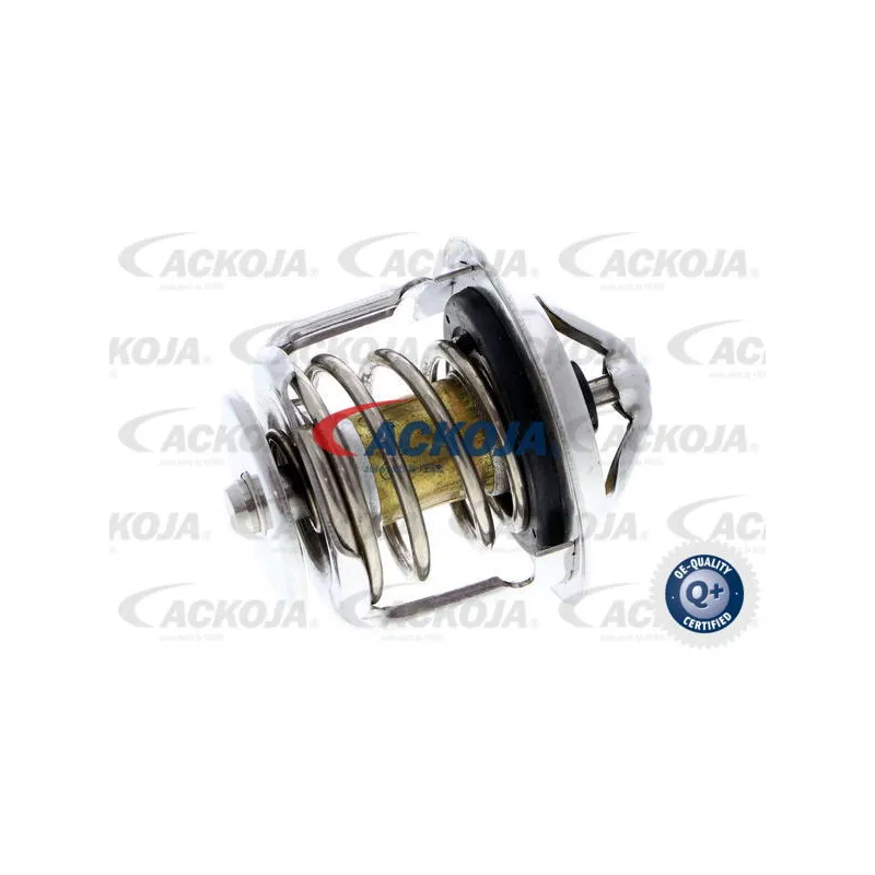 Thermostat d'eau ACKOJA A52-99-0002