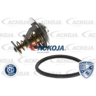 Thermostat d'eau ACKOJA A52-99-0005