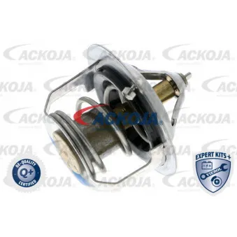 Thermostat d'eau ACKOJA A53-99-0001