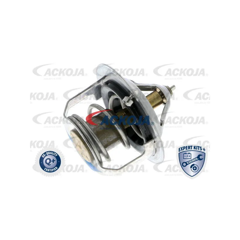 Thermostat d'eau ACKOJA A53-99-0001