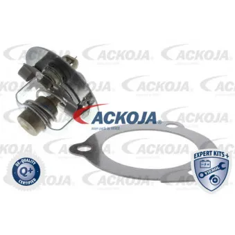 Thermostat d'eau ACKOJA A53-99-0008