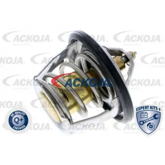 Thermostat d'eau ACKOJA A63-99-0001