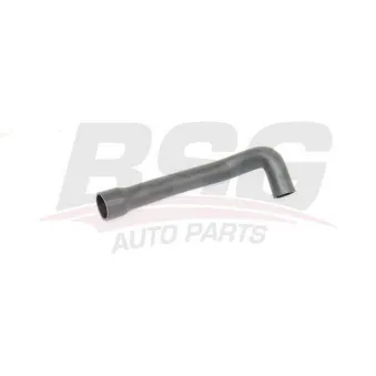 Gaine de suralimentation BSG BSG 25-720-037