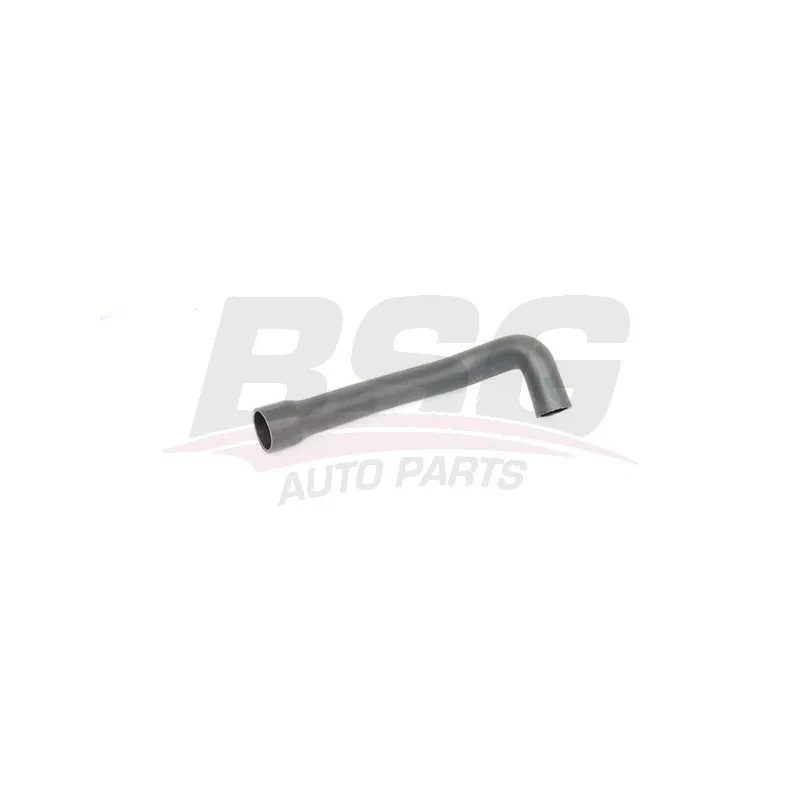 Gaine de suralimentation BSG BSG 25-720-037