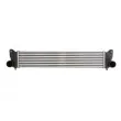 Intercooler, échangeur THERMOTEC DAF005TT - Visuel 1