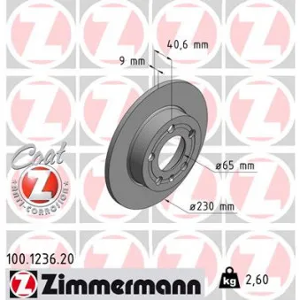 Jeu de 2 disques de frein arrière ZIMMERMANN