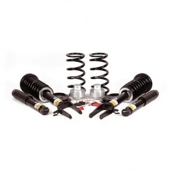 Jeu de suspensions, ressorts Arnott C-2663